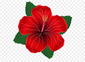 Flower Red Clip art - Red Flower PNG Clipart Image 