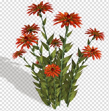 Flower, red flowers transparent background PNG clipart