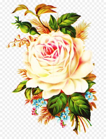 Flower, Rose, Computer Icons, Cut Flowers PNG