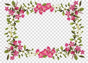 Flower , rose frame transparent background PNG clipart