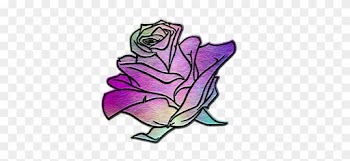 Flower, Rose, Material, Stripe, Color - Naszywka Png