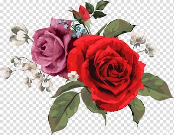 Flower Rose Pattern, rose transparent background PNG clipart