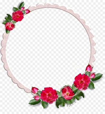 Flower Rose Photography - flower frames 