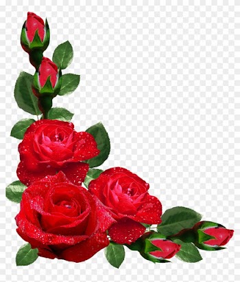 Flower Rose Picture Frames Japanese Border Designs - Rose Flower Frame Png