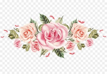 Flower Rose Pink Hash Florist - Colored roses 