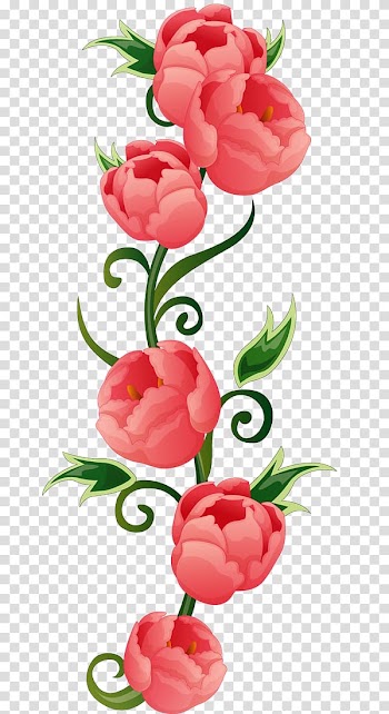 Flower Rose , Pink rose vintage hand painted transparent background PNG clipart