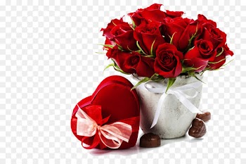 Flower Rose Red stock.xchng - Romantic Gift 