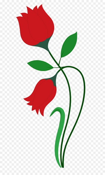 Flower Rose - Rose Flower Vector 