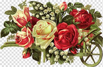Flower Rose , Rose transparent background PNG clipart