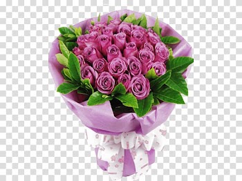 Flower Rose Tanzhou Town Ho Chi Minh City Violet, chinese mid-autumn wind transparent background PNG clipart