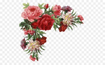 Flower Rose Vintage clothing Clip art - Rose border 