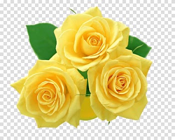 Flower Rose Yellow , flower transparent background PNG clipart