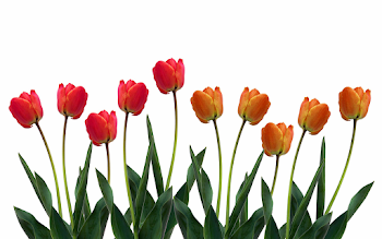 Flower row vector transparent library - RR collections