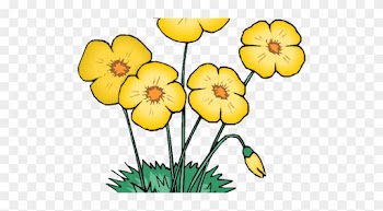 Flower Sale - Animated Flowers