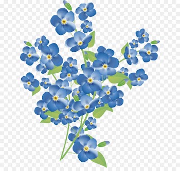 Flower, Scorpion Grasses, Royaltyfree, Blue, Forgetmenot PNG