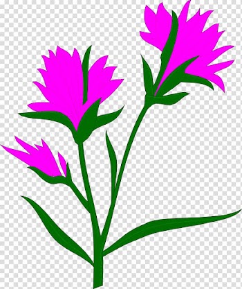 Flower Self-pollination Geitonogamy Pollen, watercolor pink transparent background PNG clipart