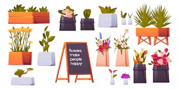 Flower shop set, potted plants and bonsai isolated Free Vector
