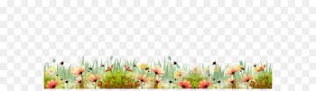 Flower Shrub - Small fresh flowers bush bones texture 