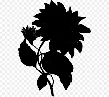 Flower, Silhouette, Adobe Lightroom, Leaf PNG