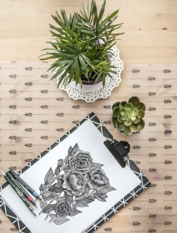 Flower Sketch Near Succulent Plant