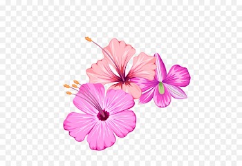 Flower - Small fresh summer flowers 