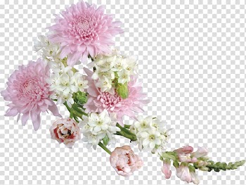Flower , Soft Flower Arrangement , pink and white petaled flowers transparent background PNG clipart