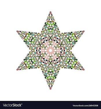Flower star shape - colorful geometrical design vector image