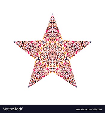 Flower star symbol - colorful ornamental vector image