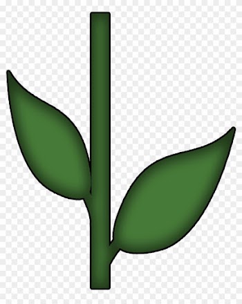 Flower Stem And Leaf