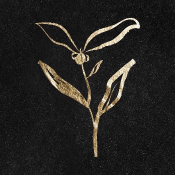 Flower sticker, gold aesthetic illustration | Free PSD Illustration - rawpixel