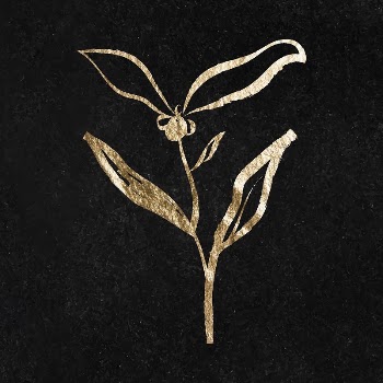 Flower sticker, gold aesthetic illustration | Free Vector Illustration - rawpixel