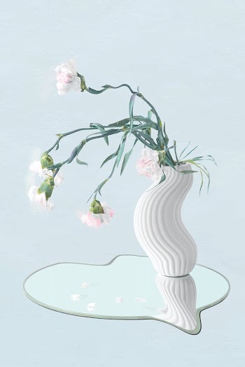 Flower sticker vector, white carnation in… | Free stock illustration | High Resolution graphic
