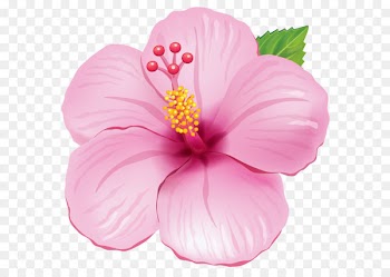 Flower Stock illustration Clip art - Pink Exotic Flower PNG Clipart Picture 