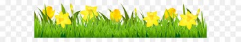 Flower Stock photography Euclidean vector Clip art - Grass with Daffodils PNG Clipart 