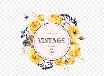 Flower Stock photography Stock illustration Clip art - Vector yellow rose flower label 