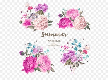 Flower Stock photography Stock illustration stock.xchng - Beautifully hand-painted flowers vector material plant 