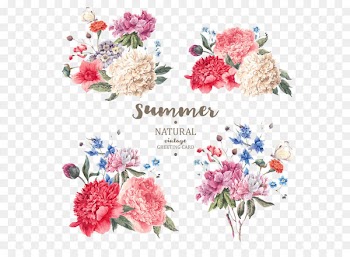 Flower Stock photography Stock illustration stock.xchng - Beautifully hand-painted flowers vector material plant 