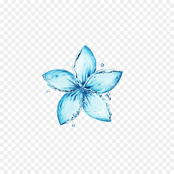 Flower Stock photography Water stock.xchng Royalty-free - Drops 