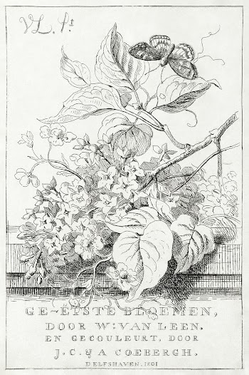 Flower study with butterfly (1801) print in… | Free public domain illustration