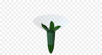 Flower, Table, White, Green PNG