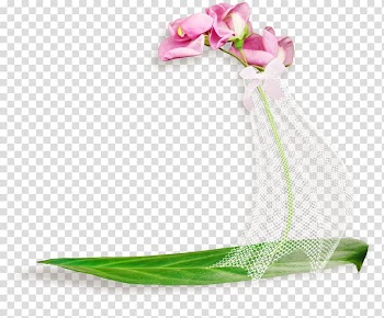 Flower Text Frames, veil transparent background PNG clipart