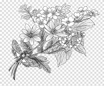 Flower Tree Drawing Sketch, hawthorn transparent background PNG clipart