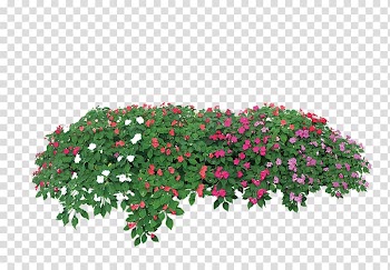 Flower Tree, Green simple grass flowers decorative patterns transparent background PNG clipart