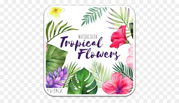 Flower, Tropical Flamingo, Watch Party Lafc X Portland, Hawaiian Hibiscus, Pink PNG