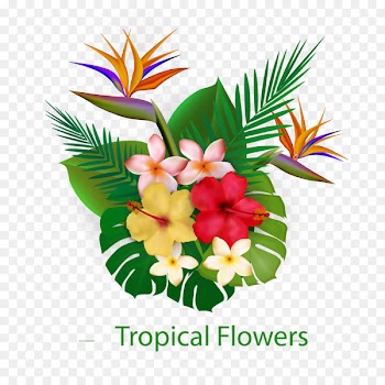 Flower Tropics Euclidean vector - Egg flower free pull download 