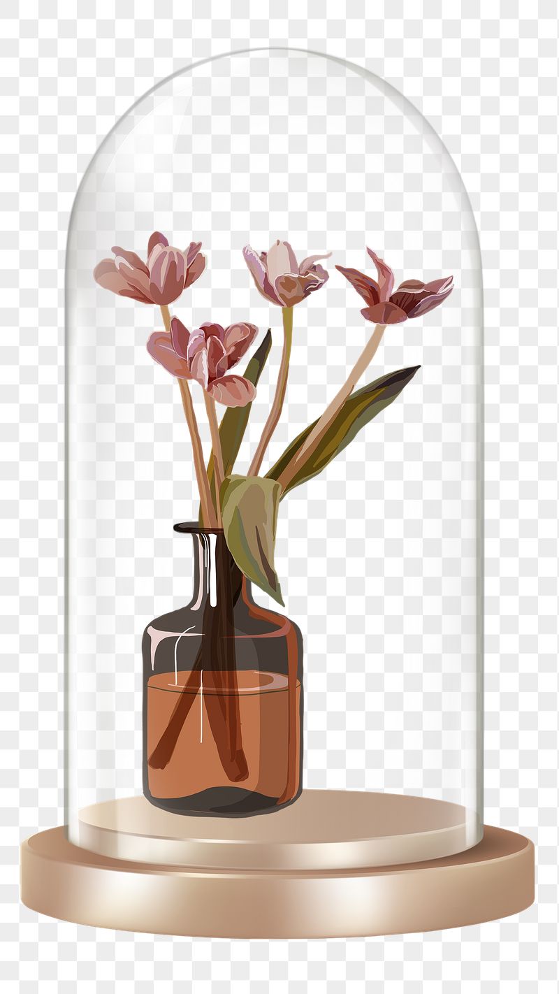 Flower vase png glass dome | Free PNG - rawpixel