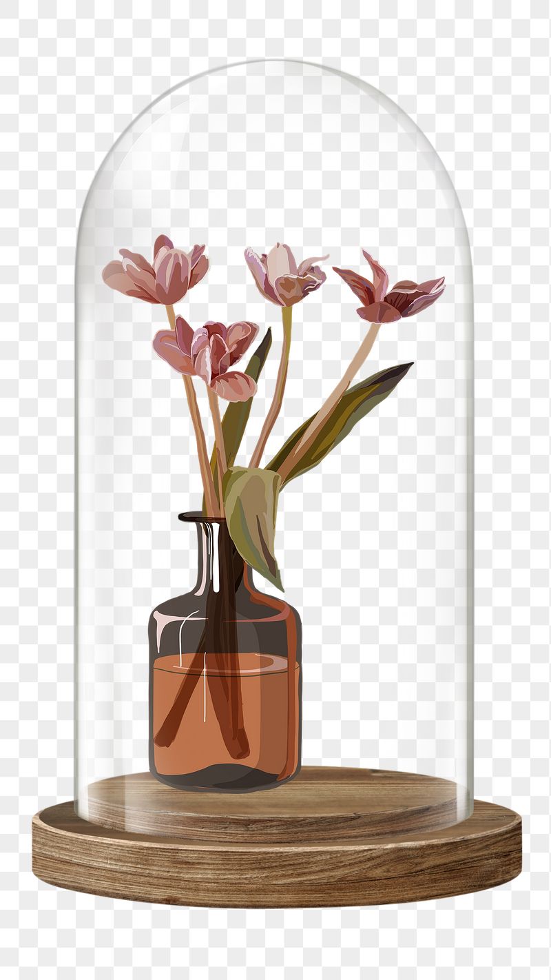 Flower vase png glass dome | Free PNG - rawpixel