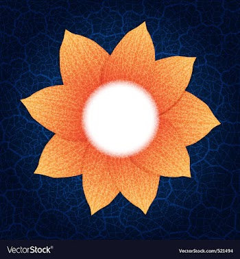Flower vector image