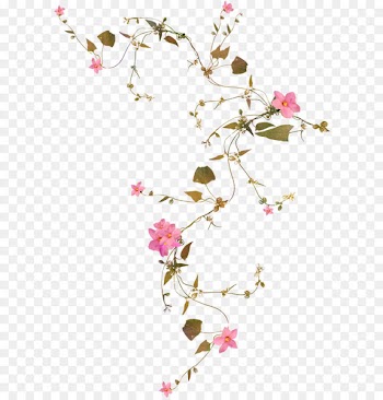 Flower vine 