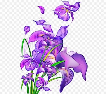 flower violet purple plant flowering plant